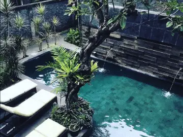 Overlooking the pool at the Semarandana Sanur.