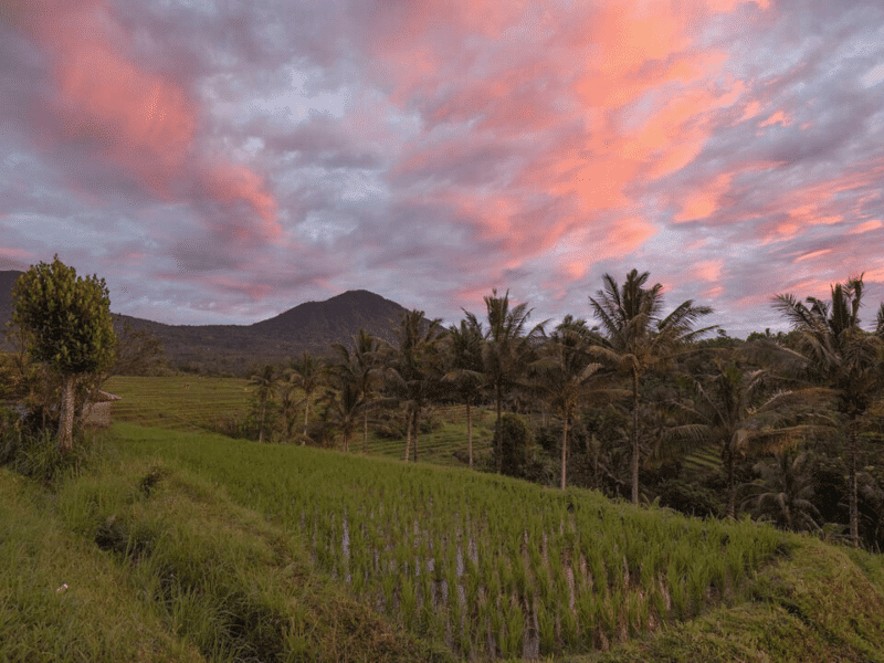 Bali tourist attractions Sunrise at Jatiluwih rice fields